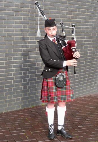 Piper