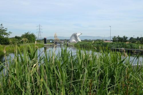 Distant Kelpies